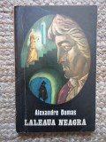 ALEXANDRE DUMAS - LALEAUA NEAGRA