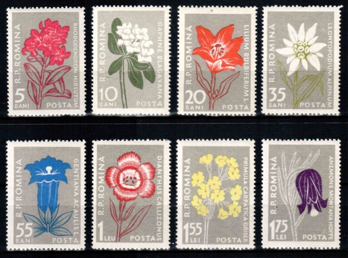 Romania 1957, LP 432, Flora carpatina, seria, MNH!