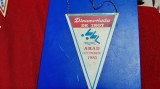 fanion Dinamoviada de inot Arad 1985