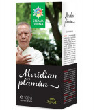 Tinctura Meridian Plaman Santo Raphael 100ml