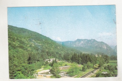 bnk cp Caciulata - Peisaj la Cozia - circulata foto