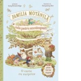 Familia Motanila. Cele patru anotimpuri - Lucy Brownridge