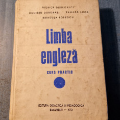 Limba engleza curs practic Viorica Dobrovici