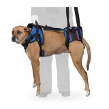Walkinpets - Ham de reabilitare combo pentru c&acirc;ini L