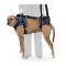 Walkinpets - Ham de reabilitare combo pentru c&acirc;ini S