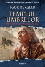 Templul umbrelor. Minciuna lui Michelangelo/Igor Bergler