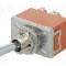 Intrerupator basculant, 2 pozitii, mod comutare ON-(ON), DPDT, PANASONIC - T215RULCSAFJ