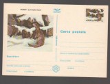 CPIB 20793 CARTE POSTALA - VIZON - LUTREOLA VISON