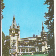 Carte Postala veche -Sinaia -Castelul Peles , necirculata