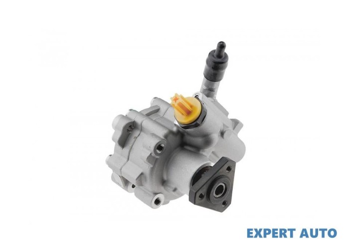 Pompa servo Dacia Sandero 1 (2008-&gt;) #1