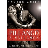 Pillang&oacute; a v&aacute;llamon - Buenos Aires-i kaland - S&aacute;ndor Anik&oacute;, S&aacute;ndor Anik&oacute;