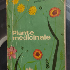 PLANTE MEDICINALE - OVIDIU BOJOR - D.GR.CONTANTINESCU