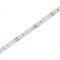 Bandă LED Alb Neutru 12V 2835 60 LED/m IP20