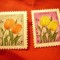 2 Timbre Iran 1968 - Flora