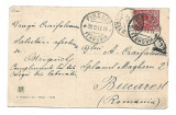 Carte postala Firenze - Il Viale della Regina 1911 - circulata A050