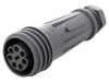 Conector Circular Mama 7 Pini IP68 Bulgin EXP-0921/07/S