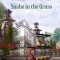 Snake in the Grass