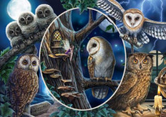 Puzzle Schmidt 1000 Lisa Parker: Mysterious Owls foto