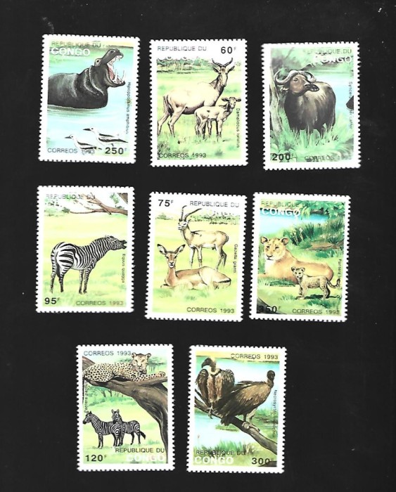 congo animale mnh