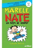 Marele Nate. 3. Un Pusti De Neoprit, Lincoln Peirce - Editura Art