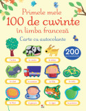 Cumpara ieftin Primele mele 100 de cuvinte &icirc;n limba franceză. Carte cu autocolante, Litera