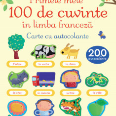 Primele mele 100 de cuvinte în limba franceză. Carte cu autocolante