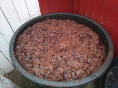 Prune pentru borhot foto