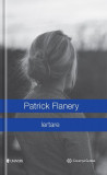 Iertare - Paperback - Patrick Flanery - Univers