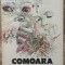 Comoara - Dumitru Vacariu// ilustratii Dragos Patrascu