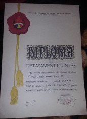 PIONIER-DIPLOMA DE DETASAMENT FRUNTAS-ORGANIZATIA PIONIERILOR DIN RSR-1970,T.GRA foto