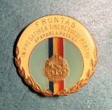 Insigna Fruntas in pregatirea tineretului pentru apararea patriei
