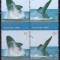 ARGENTINA 2002 BALENE