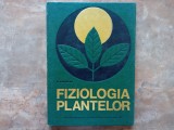 FIZIOLOGIA PLANTELOR - D. PARASCAN, 1967