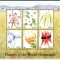 LIBERIA 1999, Flora, serie neuzata, MNH