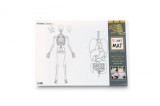 Plansa reutilizabila cu desene de colorat, model Corpul Uman,48x33.5 cm