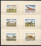 Comore 1983 - Cai, 8 Colite DE LUX NDT, F.RARE, 4 POZE, MNH