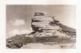 RF169 - Carte Postala - Muntii Bucegi. Sfinxul, necirculata