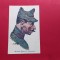 Bucuresti Armata Romana Uniforma Infanterie 1910 Steurer Militar Military