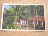 M2 R9 4 - 31 - Carte postala foarte veche - Mexic, Circulata, Fotografie