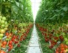 Agricultura austria angajare