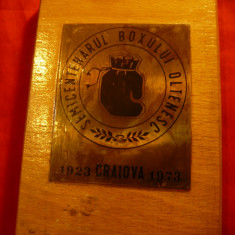 Placheta - Semicentenarul Boxului Oltenesc 1923-1973 Craiova ,dim=11,5x16,5cm