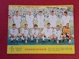 Foto fotbal - CEHOSLOVACIA (Campionatul Mondial de Fotbal ITALIA 1990)