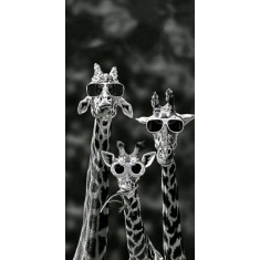 Husa Personalizata HUAWEI Y5p Giraffes