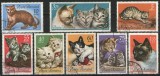 Romania 1965 - pisici, serie stampilata