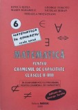 Matematica pentru examenul de capacitate. Clasele V-VIII - Ionica Rizea, Marin Babarelu