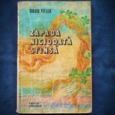 ZAPADA NICIODATA STINSA - RADU FELIX foto