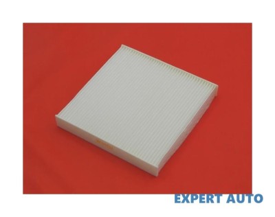 Filtru polen w Citroen Berlingo (2003-2007) #1 foto