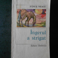 FANUS NEAGU - INGERUL A STRIGAT