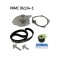 Kit distributie + pompa apa Nissan Almera II, Kubistar, Micra III, Note; Renault Clio II, Clio Symbol I, Grand Sc&eacute;nic II, Kangoo Motor 1.5 dCi,