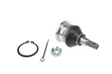 Rotula brat suspensie Toyota Yaris 1999-, 2005-, Urban Cruiser 2009-, Verso 2010-, Iq 2008-, Fata, Inferior, NTY ZSD-TY-028